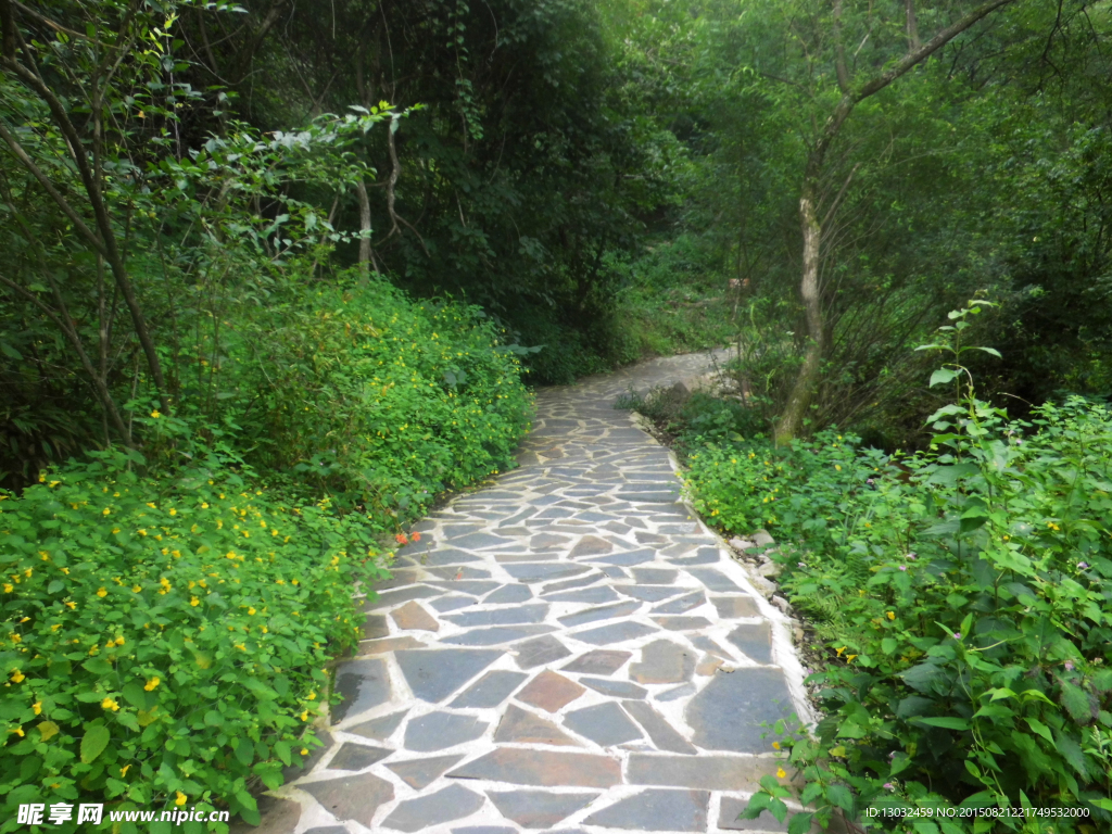 山间小路