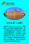 世界名校展板