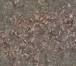 精品地表纹理 地表图像素材
