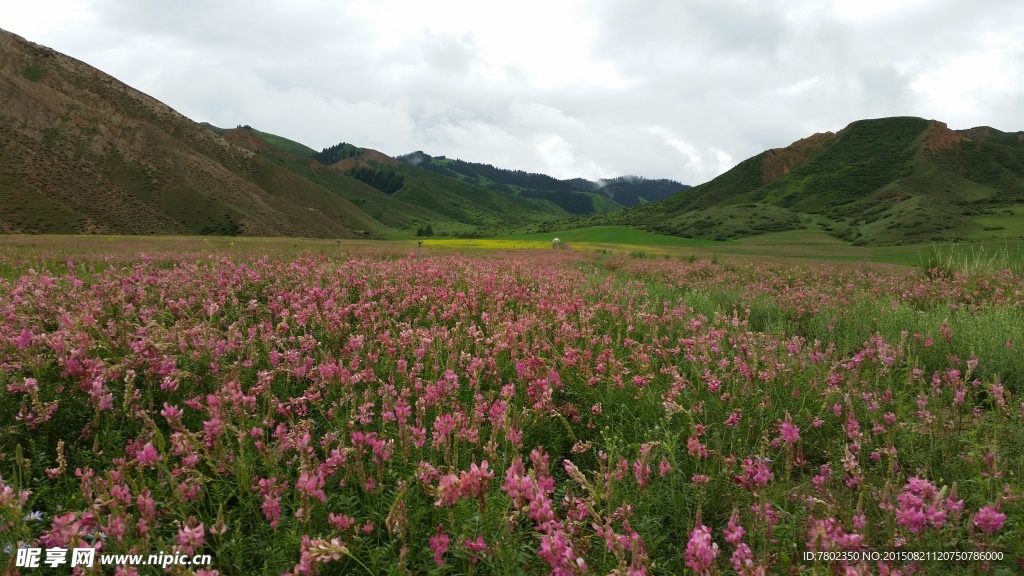 南山风光