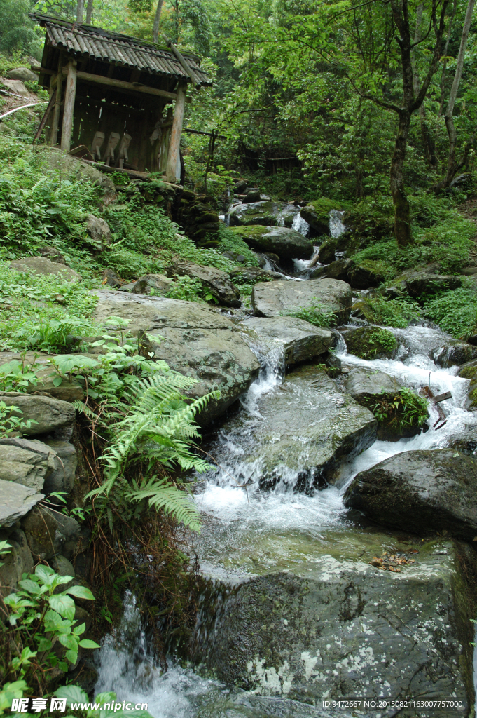 山涧 溪水