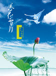 荷花