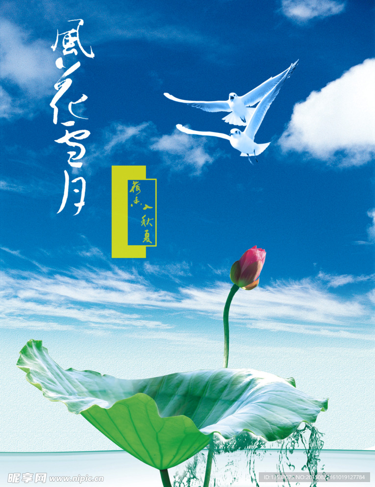 荷花