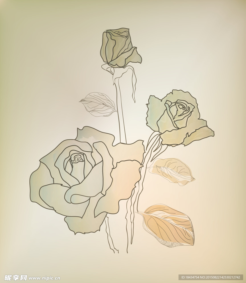 玫瑰花