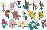 矢量花