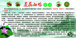 血鸭介绍