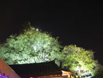 丽江夜景