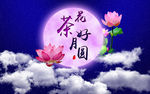 茶花好月圆海报