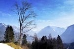山峰