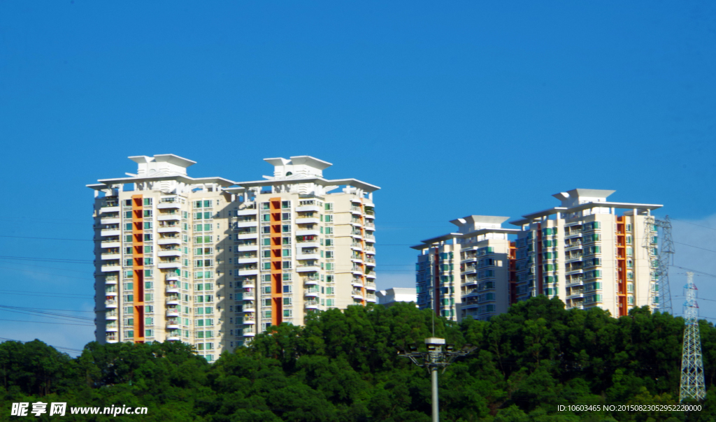 城市建筑 森林高楼