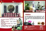 中医宣传单页dm单