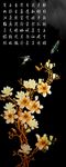 玉兰花