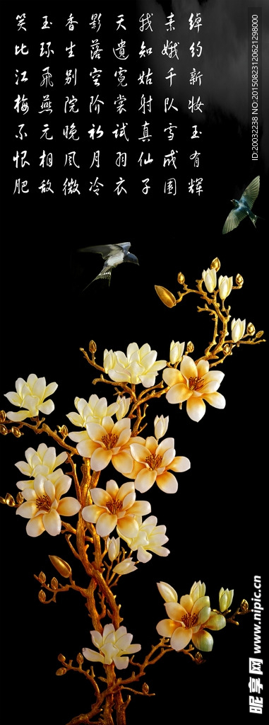 玉兰花