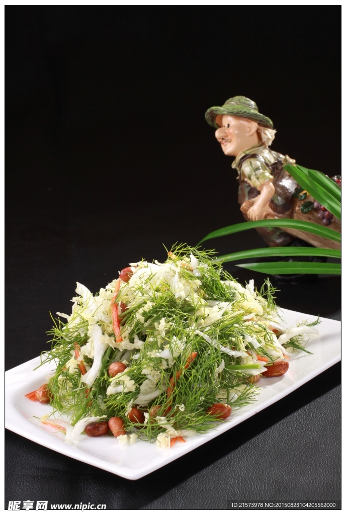 菜心茴香苗