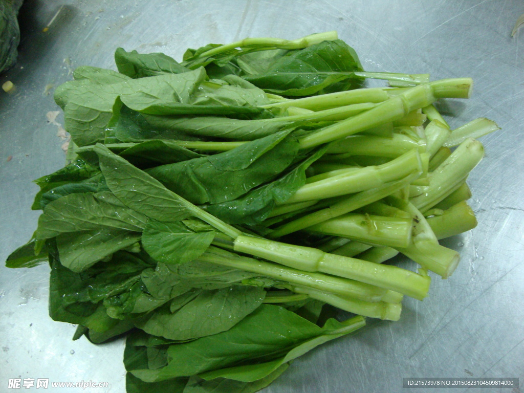 广东菜心