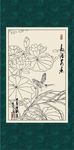 白描荷花