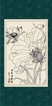 白描荷花