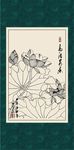 白描荷花
