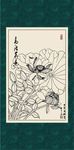 白描荷花