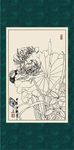 白描荷花