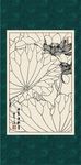 白描荷花