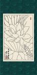 白描荷花