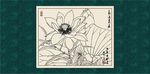 白描荷花