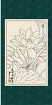 白描荷花