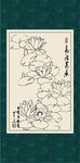 白描荷花