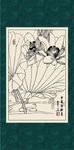 白描荷花