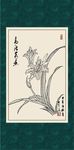 萱草