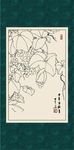 葡萄