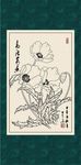 虞美人