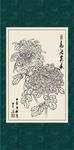 白描菊花