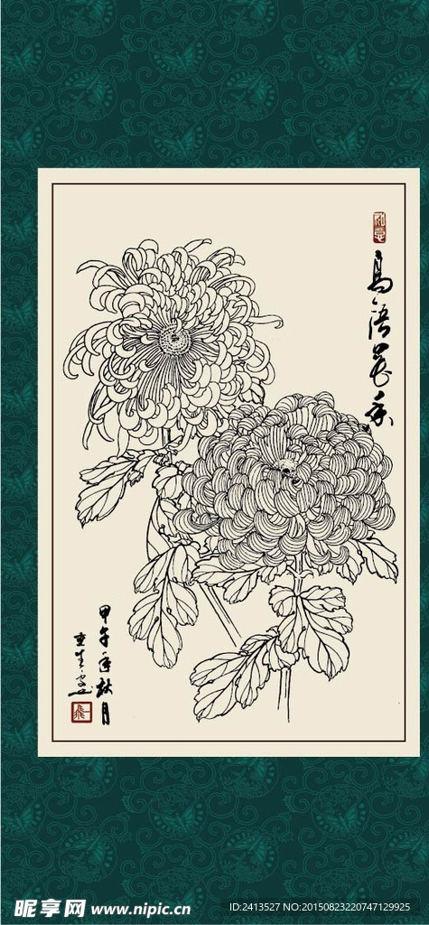 白描菊花