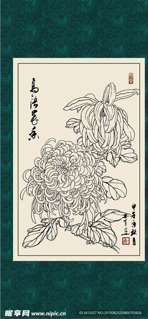 白描菊花