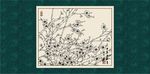 白描梅花