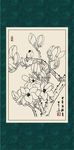 白描玉兰