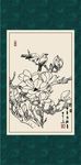 白描玉兰