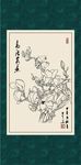 白描玉兰