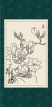 白描玉兰