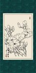 白描玉兰
