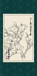 白描玉兰