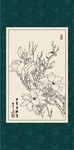 白描玉兰