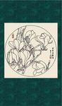 白描玉兰