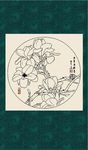 白描玉兰