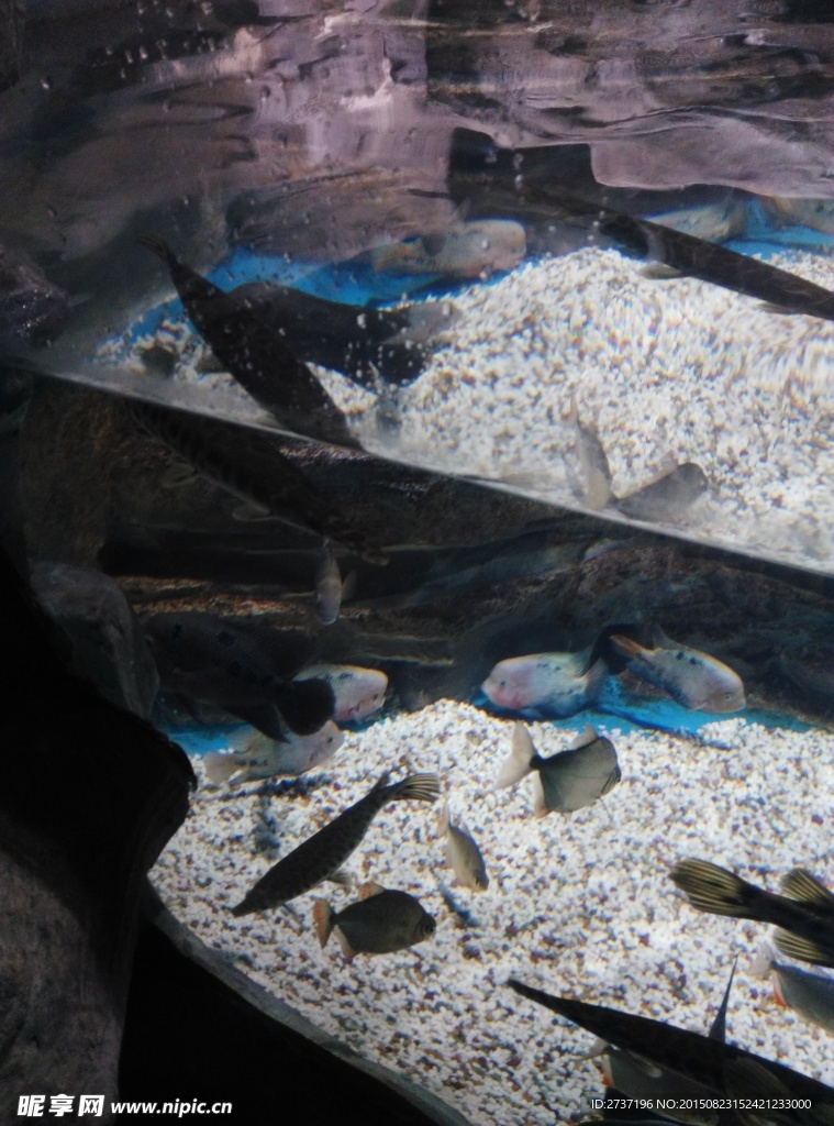 海洋馆