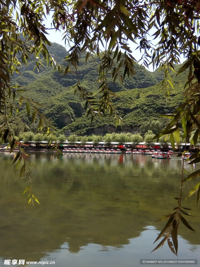 东湖港风景