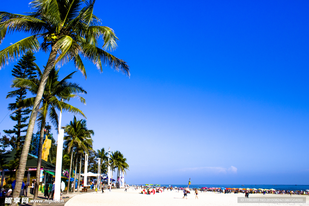 蓝天银滩椰树