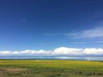高原草原风光